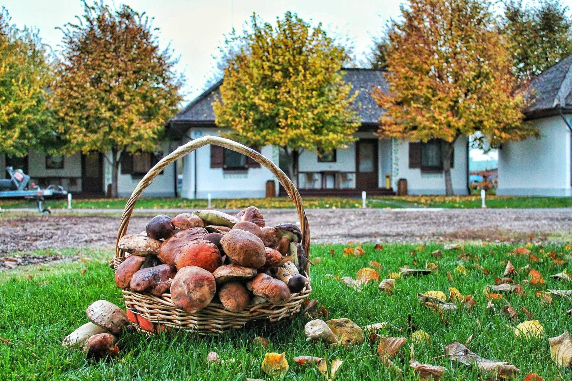 Bereg Holiday Park Svetlogorskoye Εξωτερικό φωτογραφία