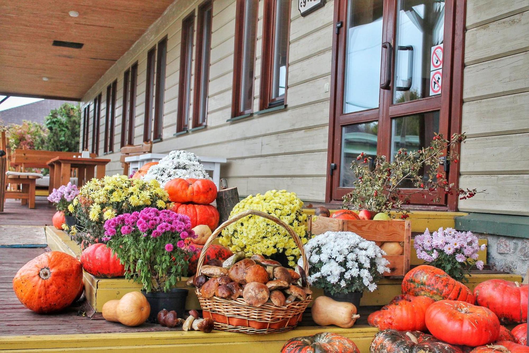 Bereg Holiday Park Svetlogorskoye Εξωτερικό φωτογραφία